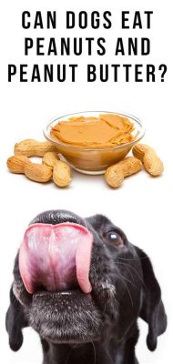 Can Dogs Eat Peanut Butter with Honey? Exploring the Sweet and Nutty Debate