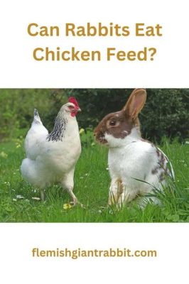 Can Rabbits Eat Chicken Food? Exploring the Unlikely Connection Between Bunnies and Poultry Diets