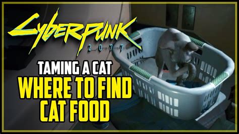 Cyberpunk Where to Get Cat Food: A Dystopian Quest for Feline Sustenance