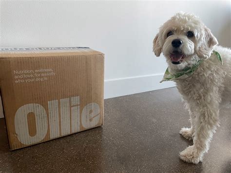 How Much Does Ollie Dog Food Cost: A Dive into the Economics of Pet Nutrition