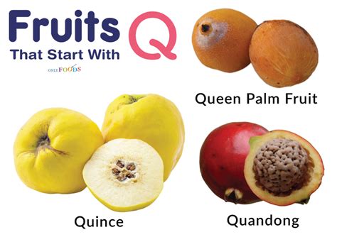 What Fruit Starts with Q: A Quizzical Query in the World of Fruits