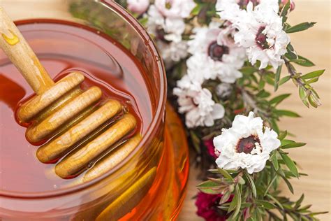 que es manuka honey and why it's the secret ingredient in your morning coffee